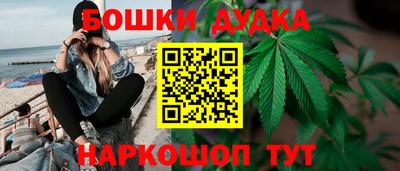 шишки Анапа