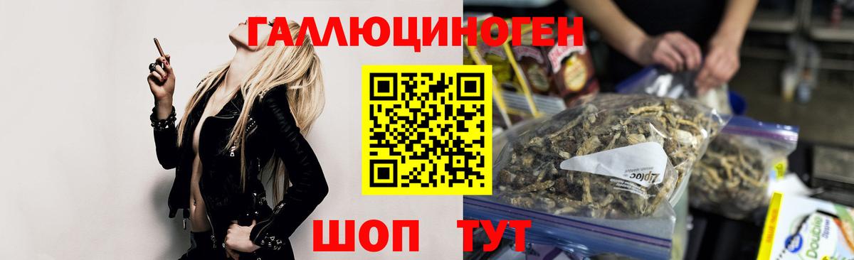 Чехов  Галлюциногенные грибы MAGIC MUSHROOMS  где можно купить   Вход с VPN 